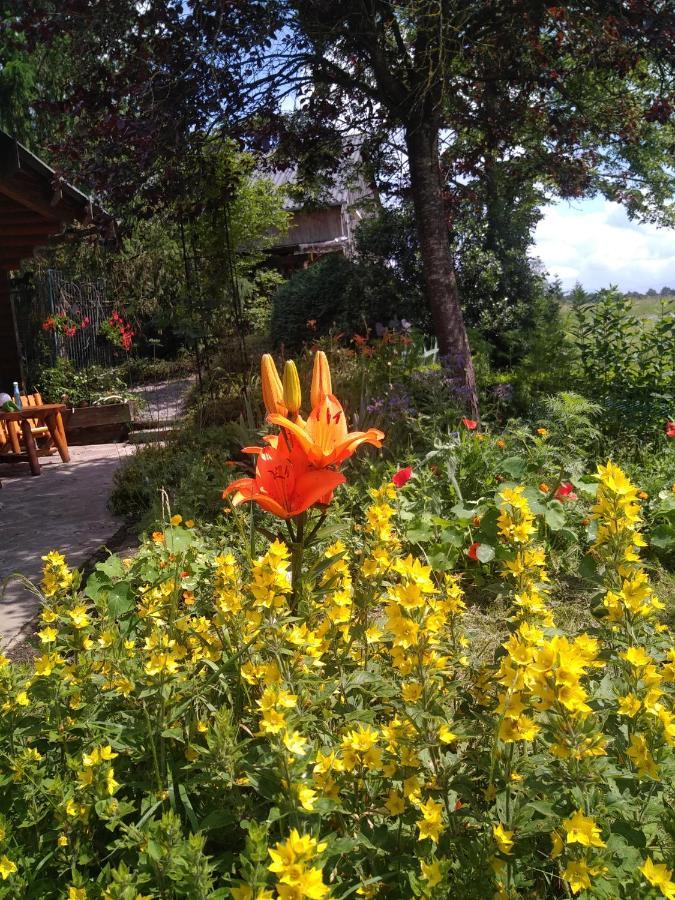 Chalet Le Paradou Adults Only Lessive Eksteriør billede