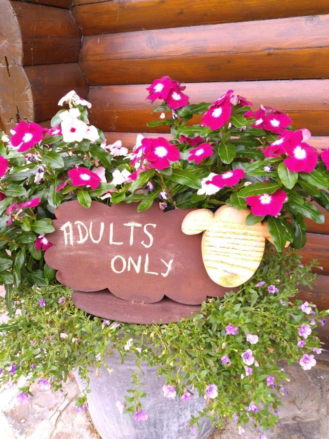 Chalet Le Paradou Adults Only Lessive Eksteriør billede