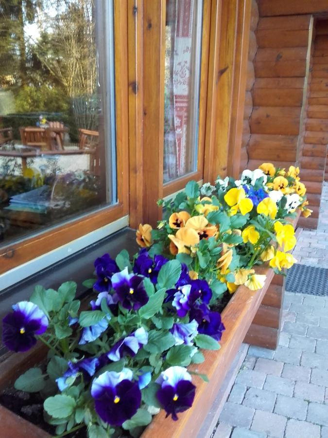 Chalet Le Paradou Adults Only Lessive Eksteriør billede